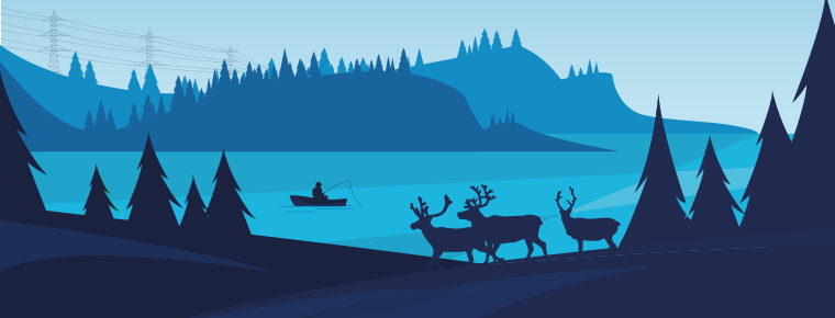 Projets pilotes pour la population de caribous forestiers de Charlevoix et la population de caribous montagnards de la Gaspésie